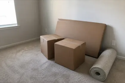 Photo 1 from Sasha Yanchanka's move review