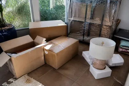 Photo 1 from Alina G's move review