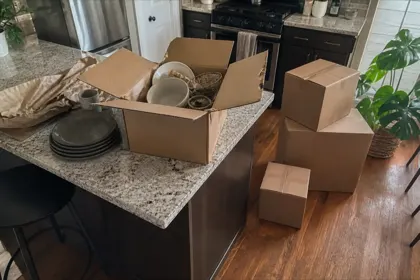 Photo 1 from Irina Foster's move review